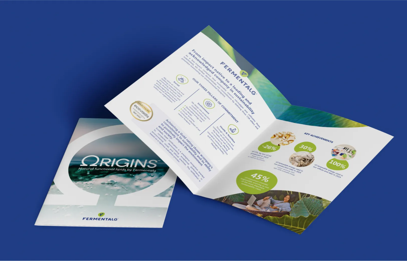 Flyer Fermentalg