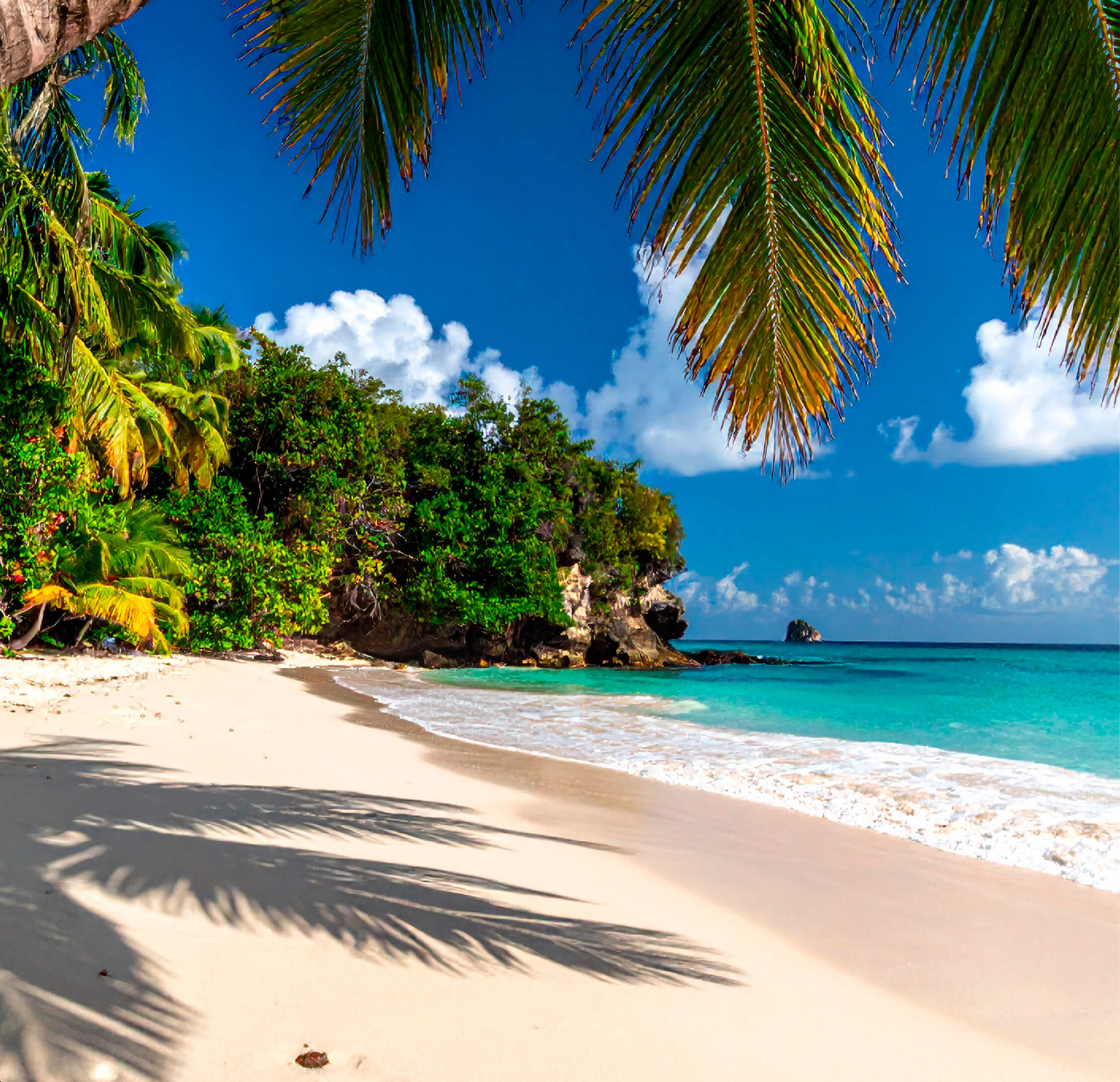 Plage ensoleillée située en Martinique