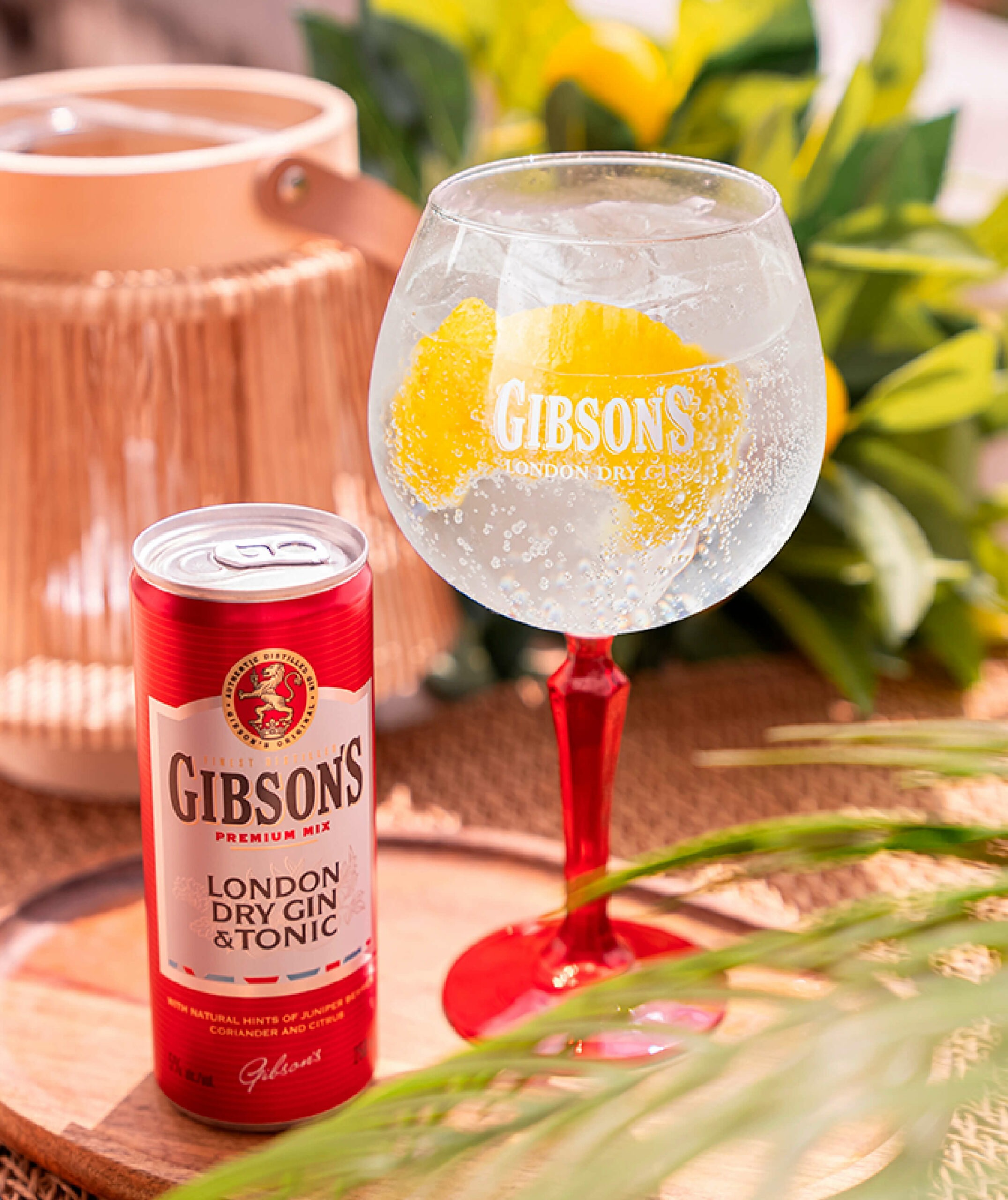 Canette Gibson's posée sur une table de jardin avec un verre à pied de cocktail